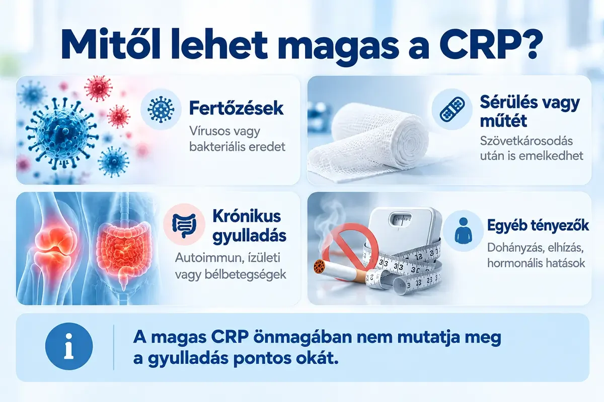 Infografika a magas CRP lehetséges okairól: fertőzések, sérülés vagy műtét, krónikus gyulladás, dohányzás, elhízás és hormonális hatások.